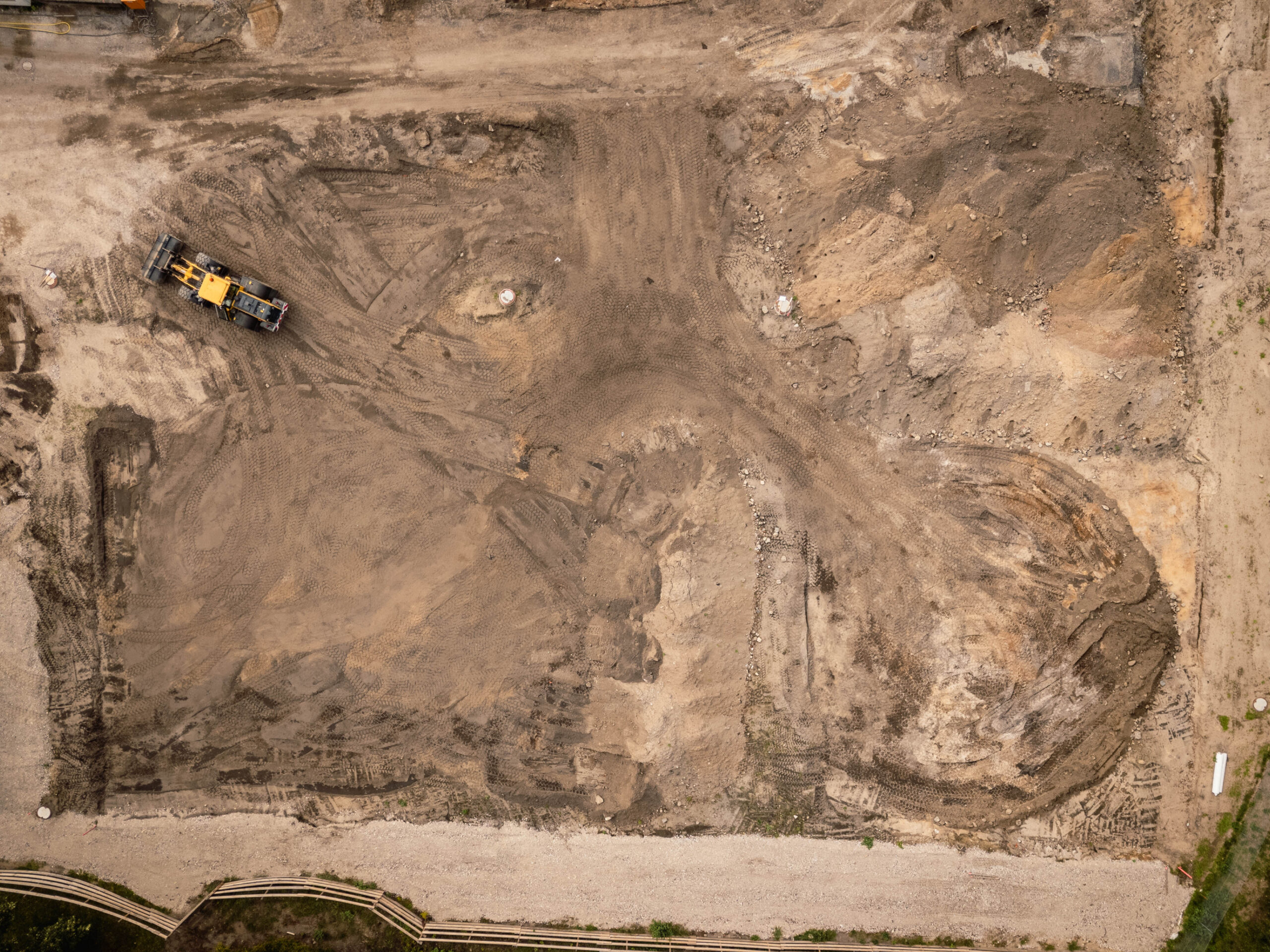 Wo Projekte Wurzeln schlagen