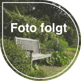 Marketing / Sekretariat